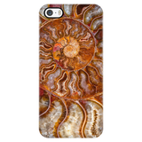 Ammonite