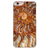 Ammonite