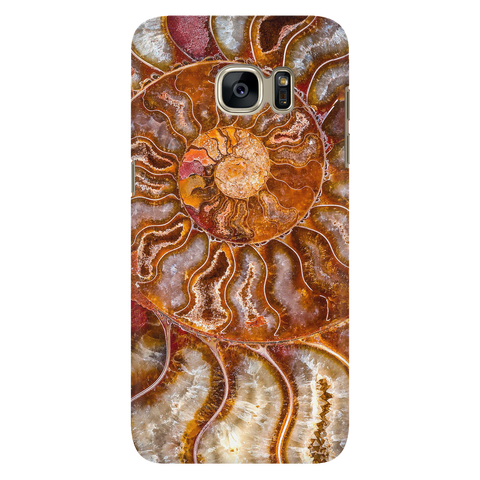 Ammonite