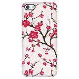 Cherry Blossom