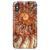 Ammonite - iPhone X/XS
