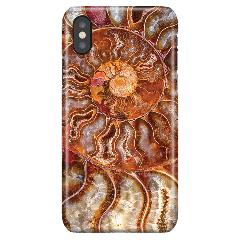 Ammonite - iPhone X/XS